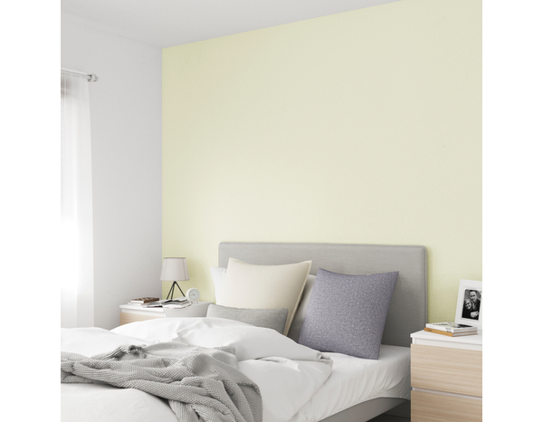 Peinture mur intérieur Mat 0,75 L Blanc crème - Evalux - Brico Dépôt