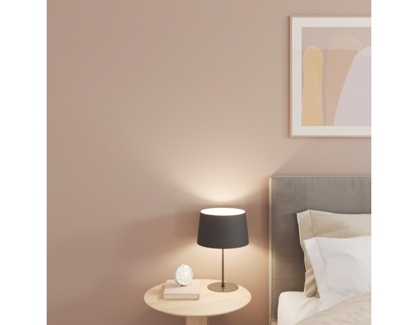 Peinture mur intérieur Mat 0,75 L Beige cappuccino - Evalux - Brico Dépôt