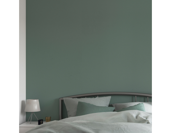 Peinture mur intérieur Satin 2,5 L Vert eucalyptus - Evalux - Brico Dépôt