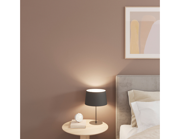 Testeur Peinture mur intérieur Mat 0,75 L Marron truffe - Evalux - Brico Dépôt