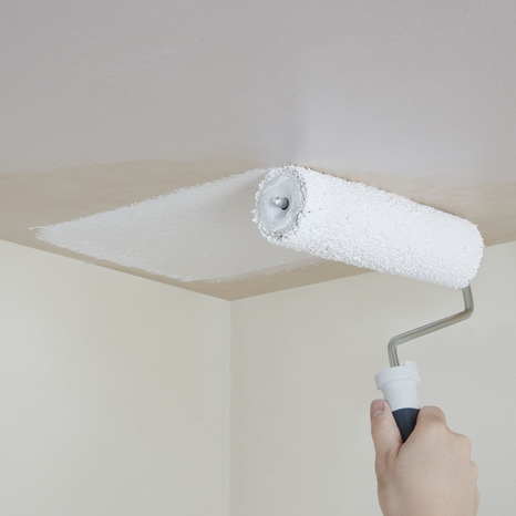 Peinture Blanche intérieure plafonds Mat 5 L - Evalux - Brico Dépôt