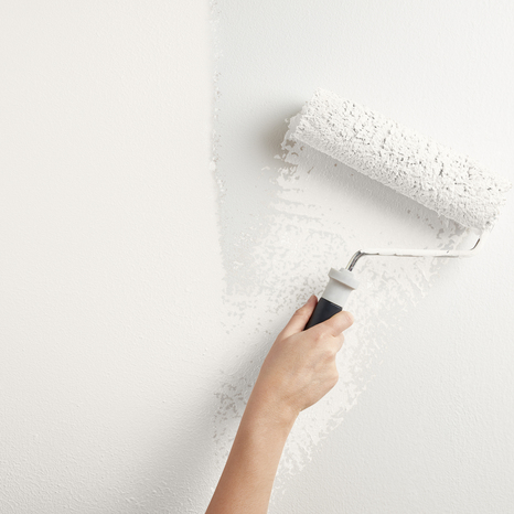 Testeur Peinture mur intérieur Mat 0,05 L Blanc coton - Evalux - Brico Dépôt