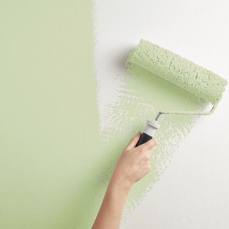 Testeur Peinture mur intérieur Mat 0,05 L Vert tilleul - Evalux - Brico Dépôt