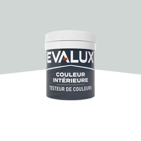 Testeur Peinture mur intérieur Mat 0,05 L Gris minéral - Evalux - Brico Dépôt