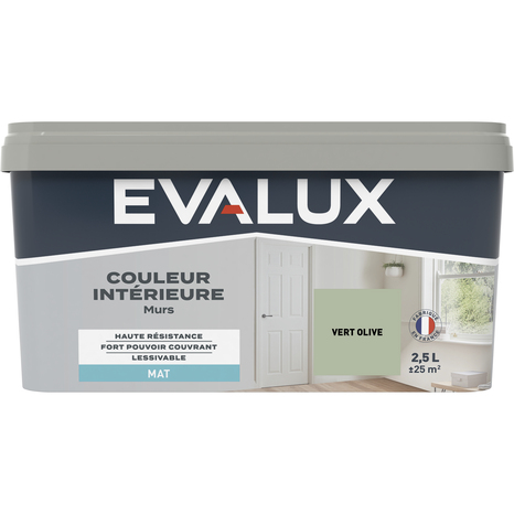 Peinture mur intérieur Mat 2,5 L Vert olive - Evalux - Brico Dépôt