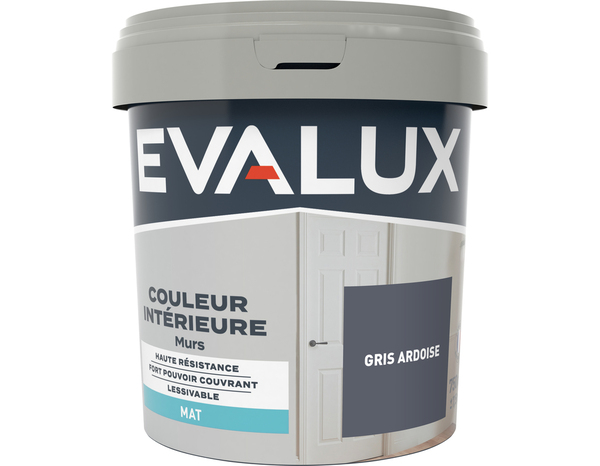 Peinture mur intérieur Mat 0,75 L Gris ardoise - Evalux - Brico Dépôt