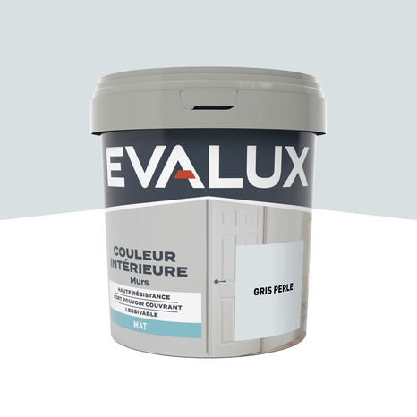 Peinture mur intérieur Mat 0,75 L Gris perle - Evalux - Brico Dépôt
