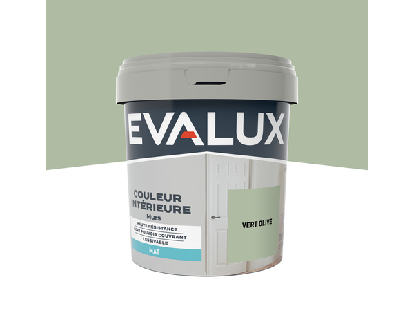Peinture mur intérieur Mat 0,75 L Vert olive - Evalux - Brico Dépôt