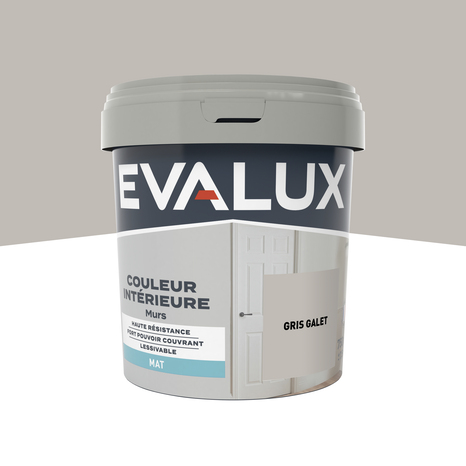 Peinture mur intérieur Mat 0,75 L Gris galet - Evalux - Brico Dépôt