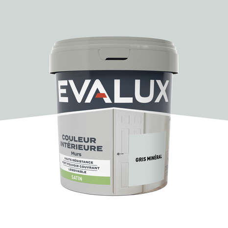 Peinture mur intérieur Satin 0,75 L Gris minéral - Evalux - Brico Dépôt