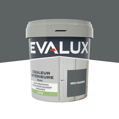 Peinture mur intérieur Satin 0,75 L Gris charbon - Evalux - Brico Dépôt