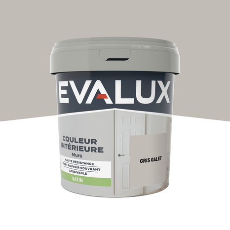 Peinture mur intérieur Satin 0,75 L Gris galet - Evalux - Brico Dépôt