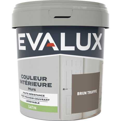 Peinture mur intérieur Satin 0,75 L Marron truffe - Evalux - Brico Dépôt