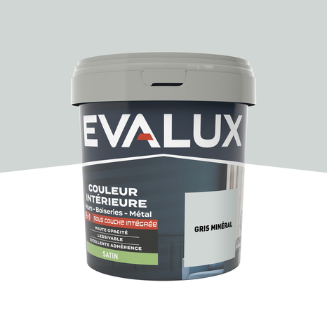 Peinture mur intérieur 2 en 1 Satin 0,75 L Gris minéral - Evalux - Brico Dépôt