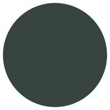 Peinture extérieur bois 2,5 L vert mousse satin - Evalux - Brico Dépôt