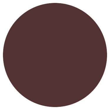 Peinture extérieur bois 2,5 L pourpre satin - Evalux - Brico Dépôt