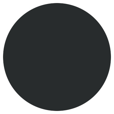 Peinture extérieur bois 2,5 L noir satin - Evalux - Brico Dépôt