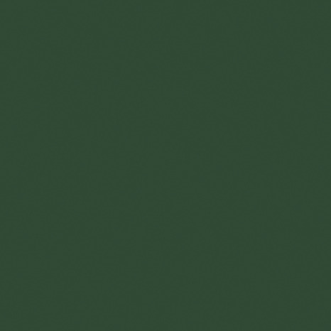 Peinture métal extérieur brillant 2 L vert basque - Ripolin - Brico Dépôt