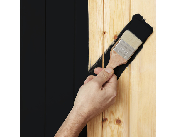 Peinture extérieur bois 0,75 L noir satin - Evalux - Brico Dépôt