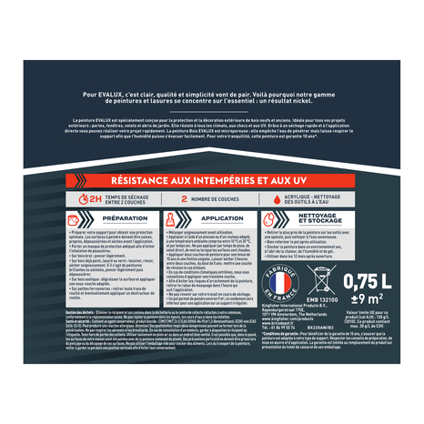 Peinture extérieur bois 0,75 L noir satin - Evalux - Brico Dépôt