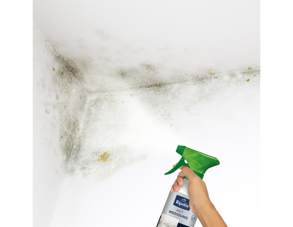 Traitement anti-moisissures intérieur extérieur 0,5 L - Ripolin - Brico Dépôt