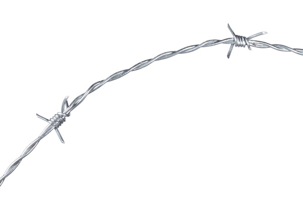 Bobine ronce barbelé "Galva" 200 ML - Dirickx - Brico Dépôt