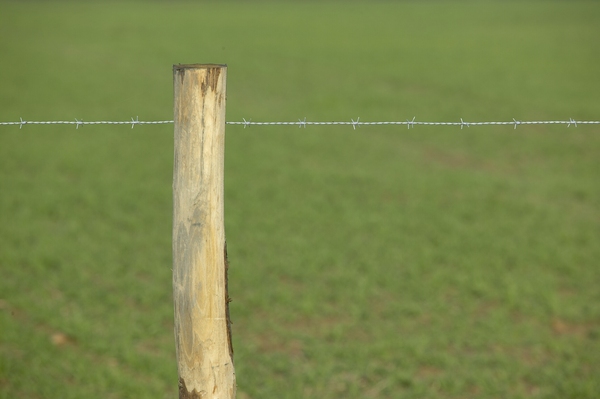 Bobine ronce barbelé "Galva" 200 ML - Dirickx - Brico Dépôt