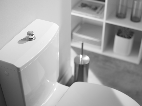 Mécanisme à tirette chrome - Wirquin - Brico Dépôt