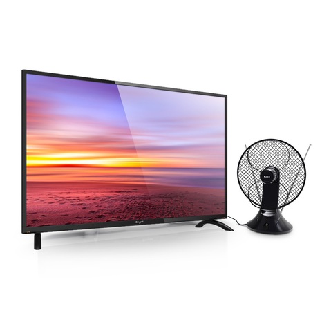 Antenne TNT intérieure amplificateur intégré 5G - Brico Dépôt