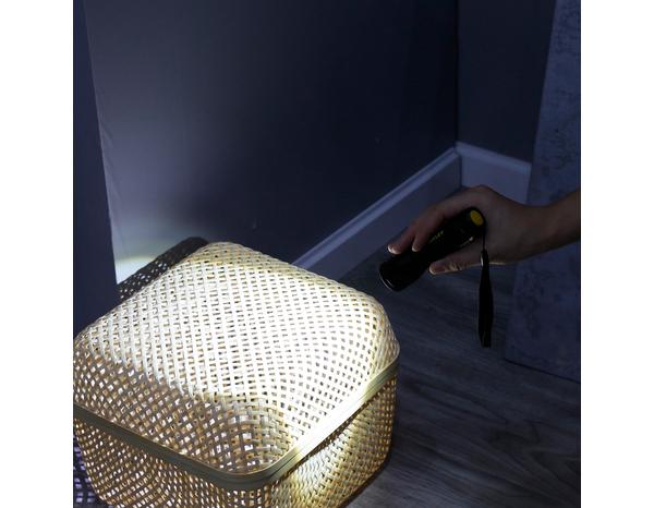 Lampe torche aluminium - 300 lm - Stanley - Brico Dépôt