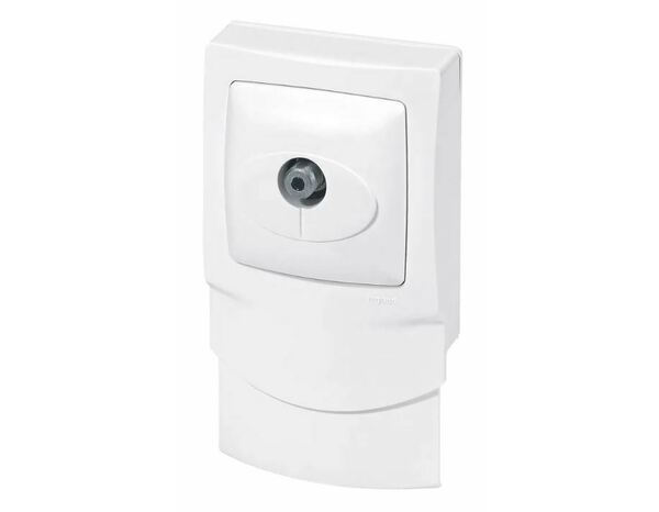 Cadre blanc 1 poste + satellite EP 12.5 mm  - Legrand - Brico Dépôt