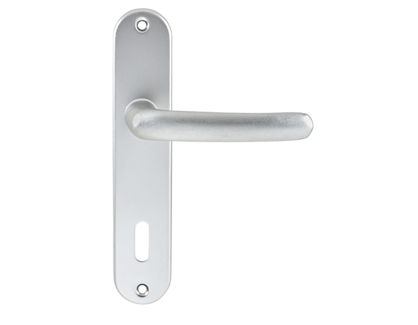 Ensemble de porte entraxe 165 mm avec serrure pour clé "budget 165 ts" - Assa Abloy - Brico Dépôt