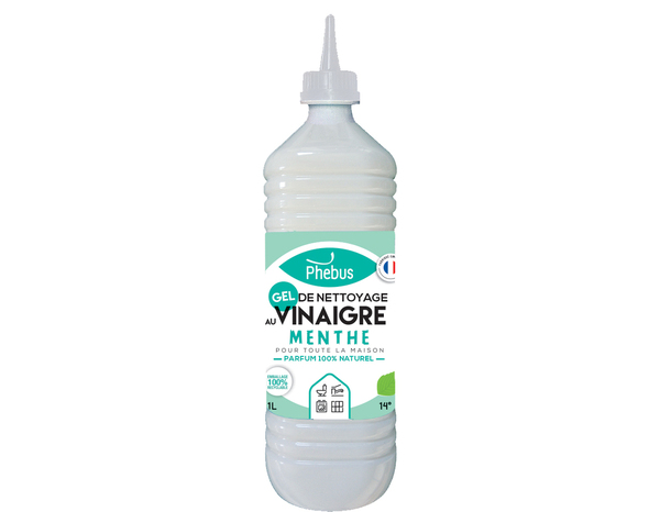 Vinaigre gel parfum menthe 1L - Brico Dépôt