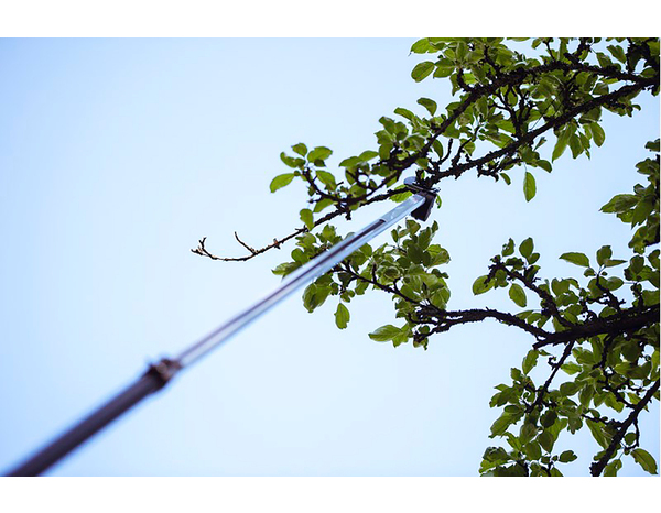 Coupe branches avec scie télescopique - Fiskars - Brico Dépôt