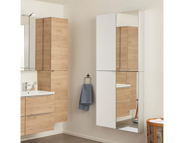 Rangement mural miroir Idalie L. 40 x H. 90 x P. 15 cm - Cooke and Lewis - Brico Dépôt