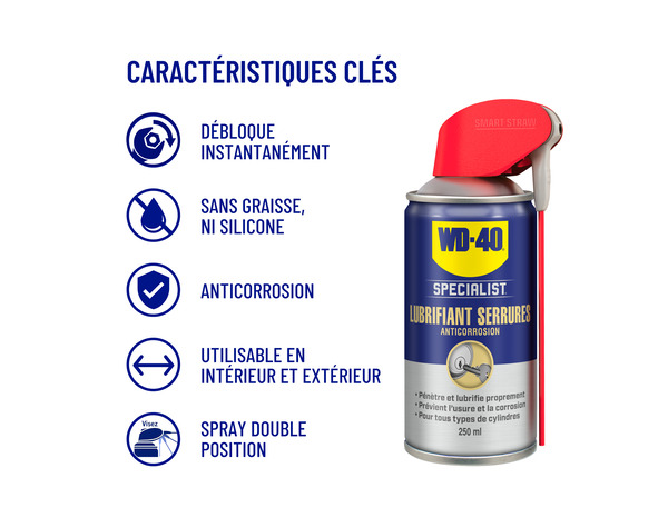 Wd40 specialist lubrifiant serrure 250 ml - WD40 - Brico Dépôt