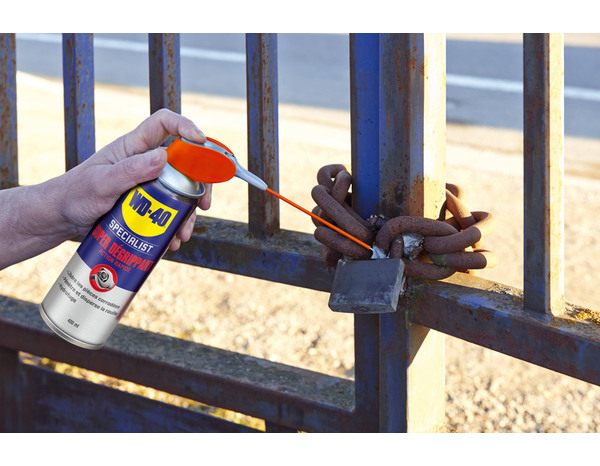Wd40 Specialist super dégrippant 250 ml - WD40 - Brico Dépôt