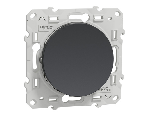 Poussoir "Odace" anthracite - Brico Dépôt