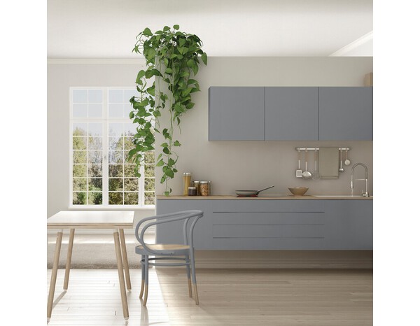 Peinture multi-supports 2en1 Satin 0,75 L Gris galet - V33 - Brico Dépôt