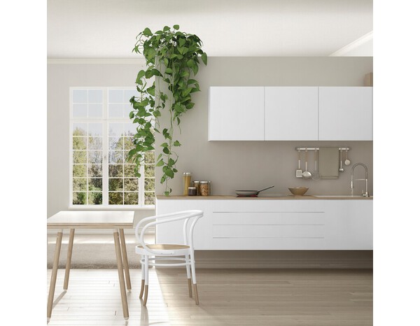 Peinture multi-supports 2en1 Satin 0,75 L Blanc - V33 - Brico Dépôt