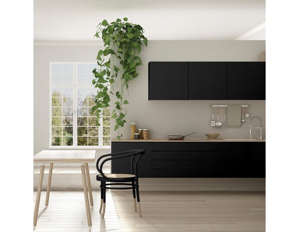 Peinture multi-supports 2en1 Satin 2 L Noir graphite - V33 - Brico Dépôt