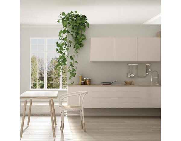 Peinture multi-supports 2en1 Satinc 2 L Lin - V33 - Brico Dépôt