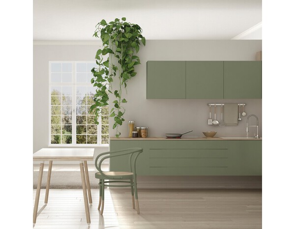 Peinture multi-supports 2en1 Satin 2 L Vert kaki - V33 - Brico Dépôt