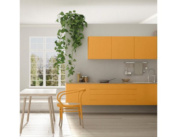 Peinture multi-supports 2en1 Satin 2 L Jaune miel - V33 - Brico Dépôt