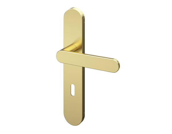 Poignée de porte "Marick" avec trou pour clé - Effet laiton - Entraxe adaptable 165-195 mm - Cooke and Lewis - Brico Dépôt