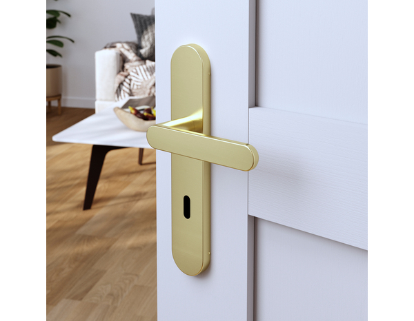 Poignée de porte "Marick" avec trou pour clé - Effet laiton - Entraxe adaptable 165-195 mm - Cooke and Lewis - Brico Dépôt