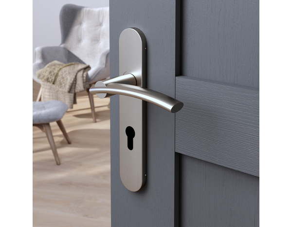 Poignée de porte "Lyderic" avec trou pour cylindre - Effet nickel - Entraxe 195 mm - Cooke and Lewis - Brico Dépôt