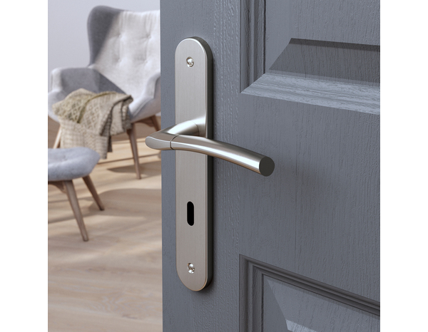 Poignée de porte "Helmic" avec trou pour clé - Entraxe 195 mm - Cooke and Lewis - Brico Dépôt