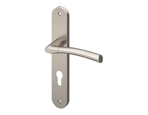 Poignée de porte extérieure "Helmic" avec trou pour clé - Entraxe 195 mm - Cooke and Lewis - Brico Dépôt