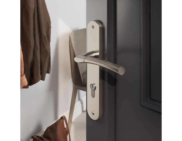 Poignée de porte extérieure "Helmic" avec trou pour clé - Entraxe 195 mm - Cooke and Lewis - Brico Dépôt